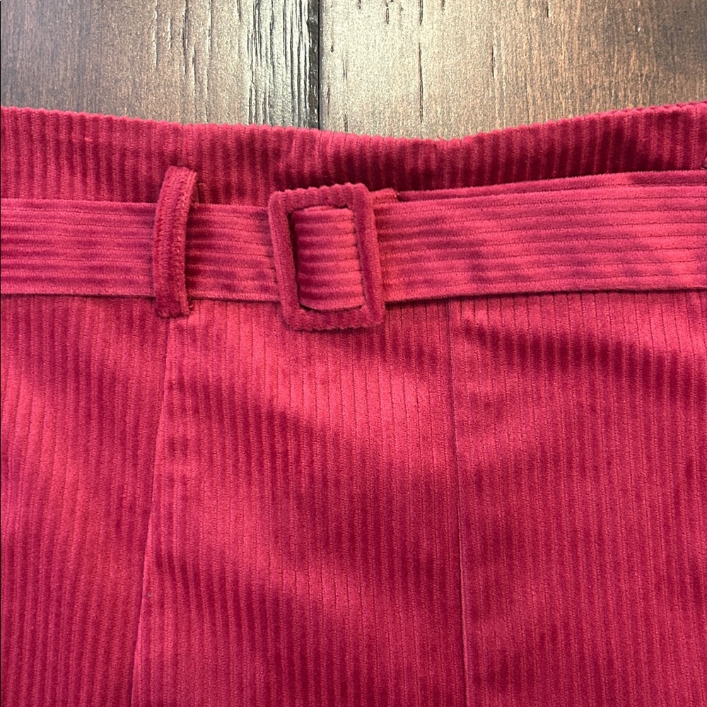 Sugarlips Vibrant Red Mini Skirt - Picture 3 of 4